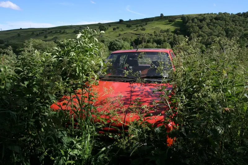 Een rode personenauto staat half verscholen tussen hoog onkruid en brandnetels. Alleen de voorruit en de motorkap steken erboven uit. Op de achtergrond liggen groene heuvels onder een blauwe lucht.